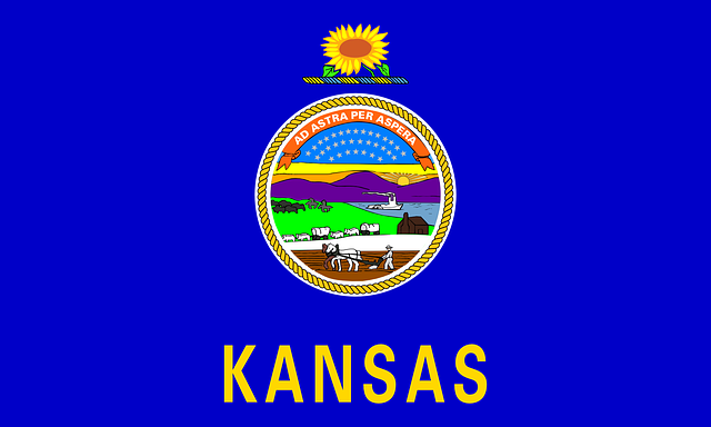 Kansas Flag.png