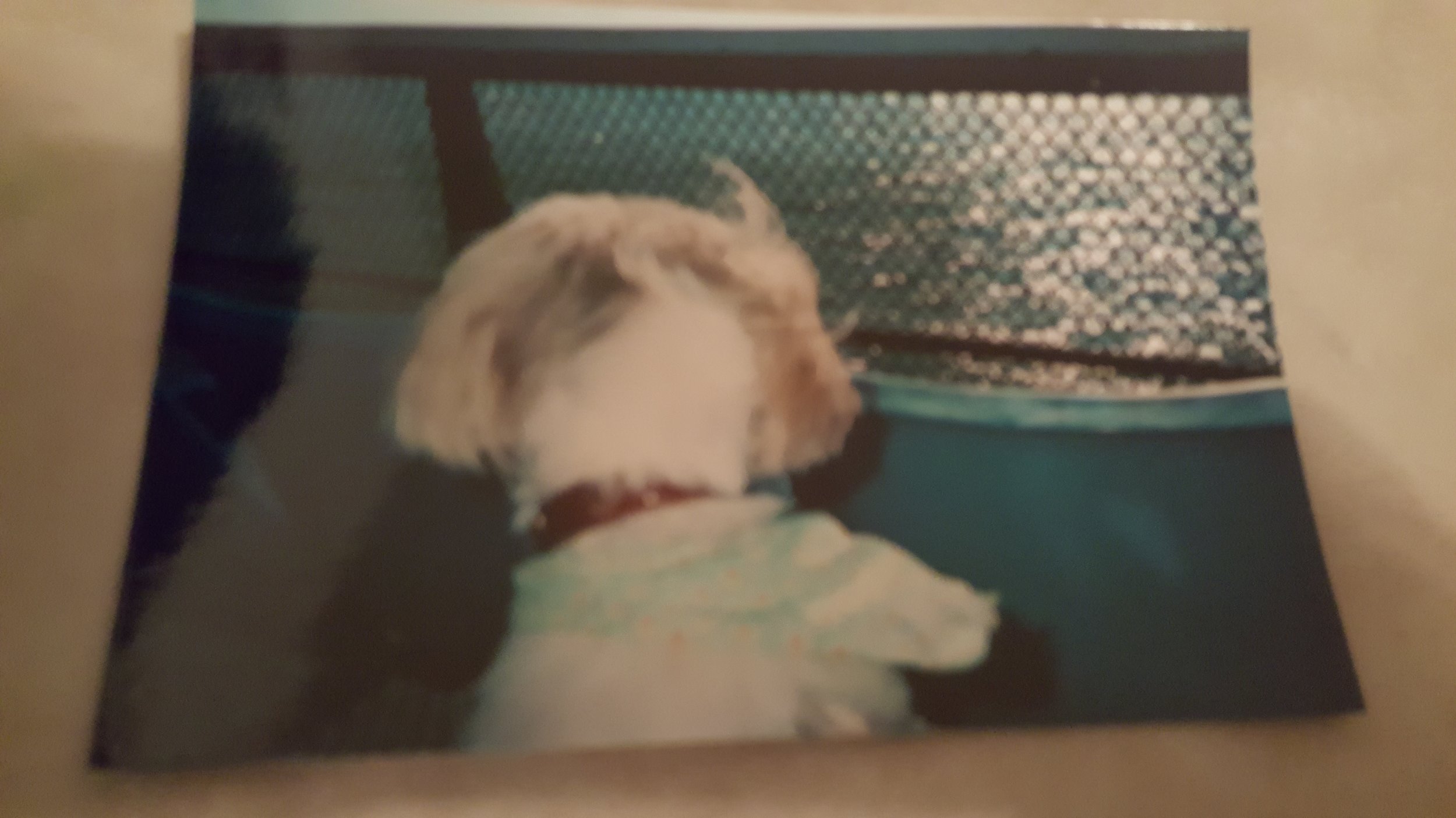 Coco on the Ferry to Block Island, maybe 2006