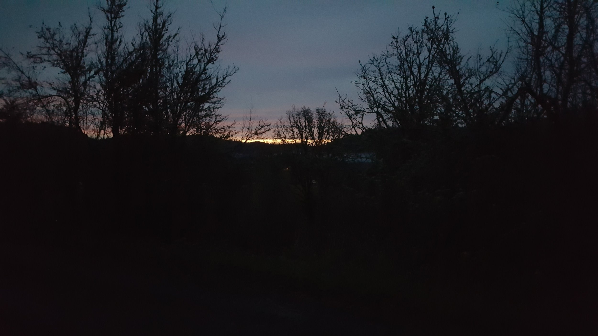 Heading out for morning run
