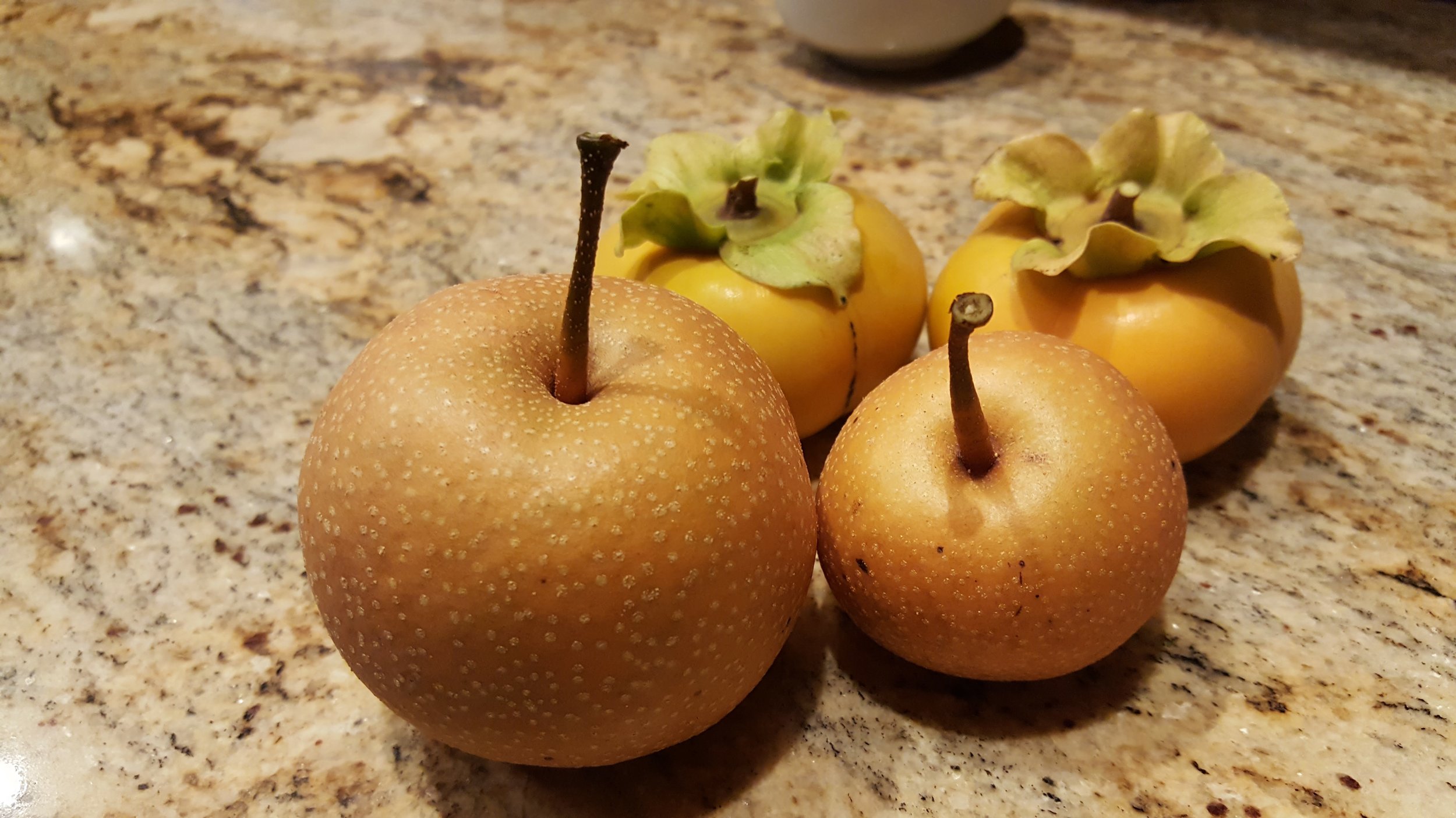 Asian pears and persimmons from our tree