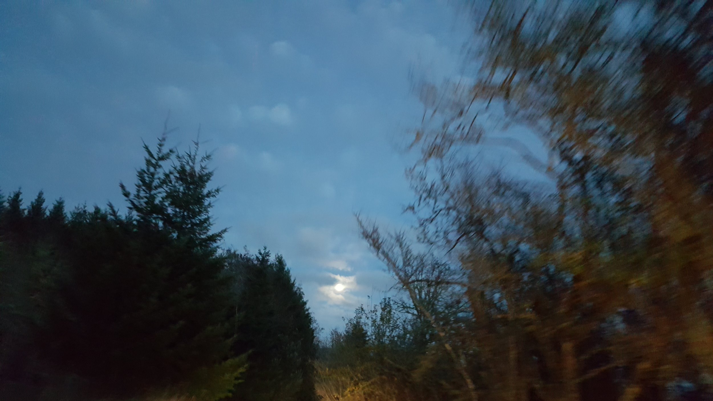 Gorgeous moon