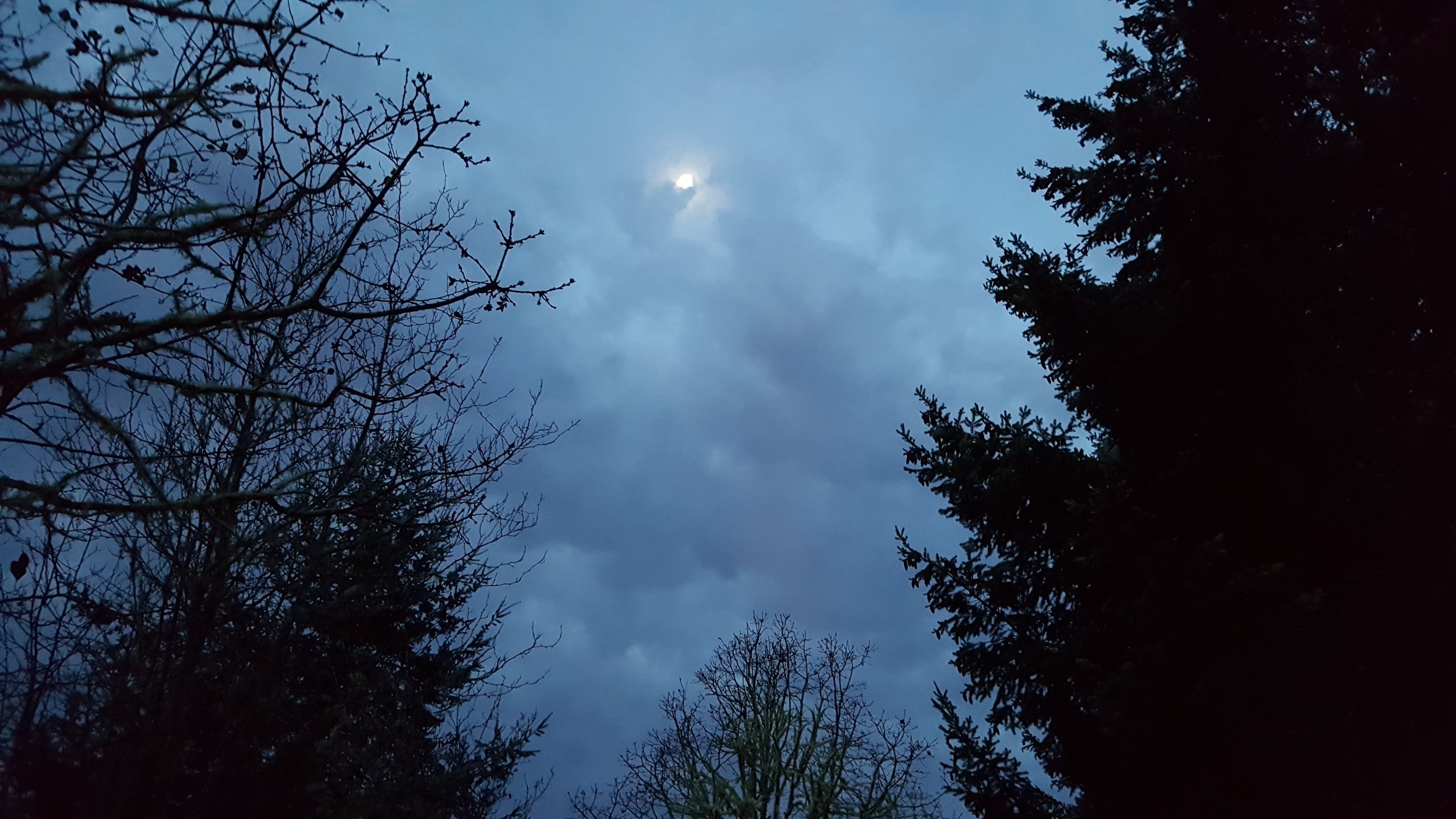Oh I see you Moon! Good night. Thank you for another glorious day