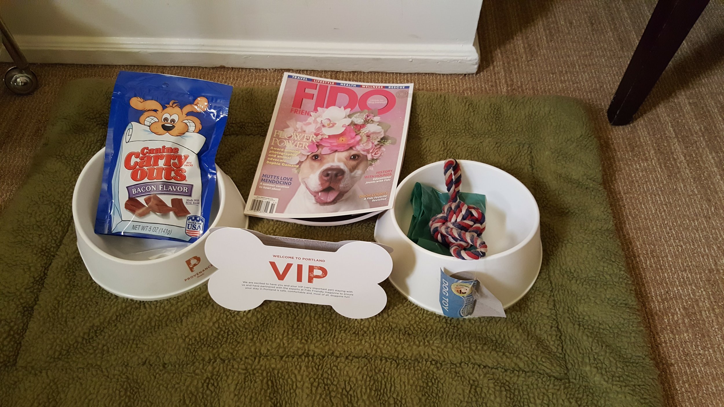 Amenities for our little dog, Coco Chanel