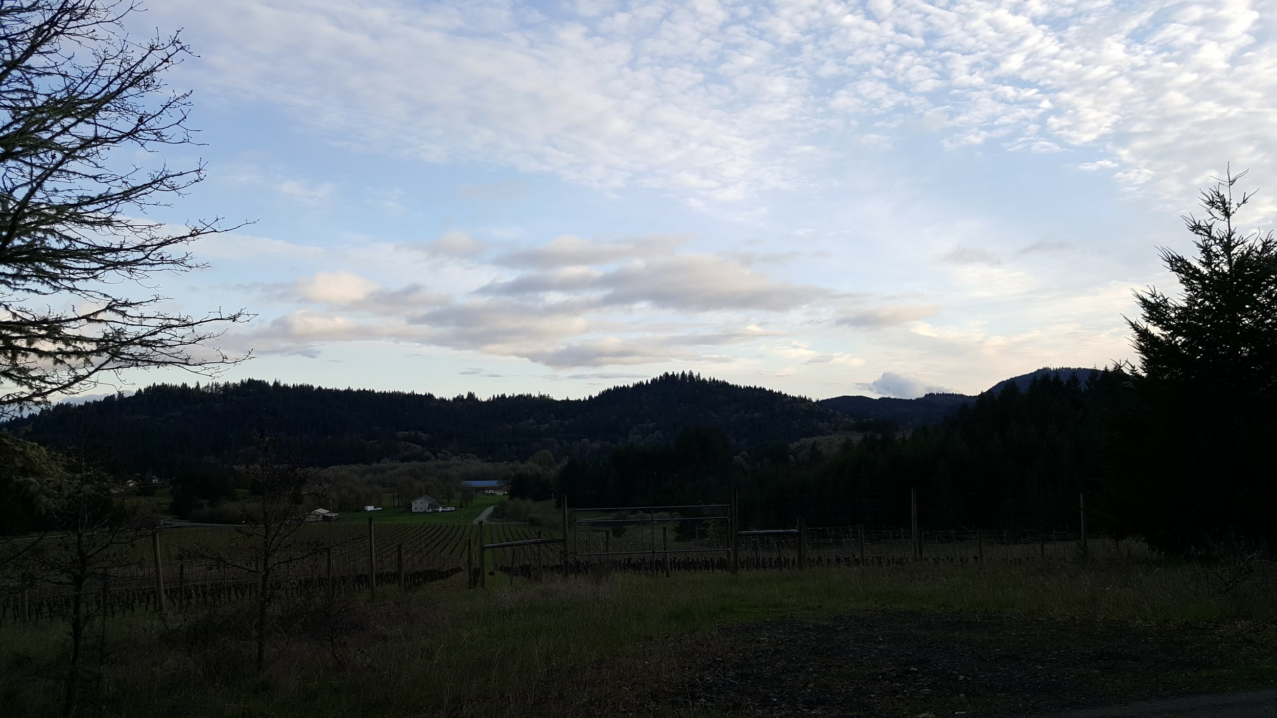 Morning run on trails