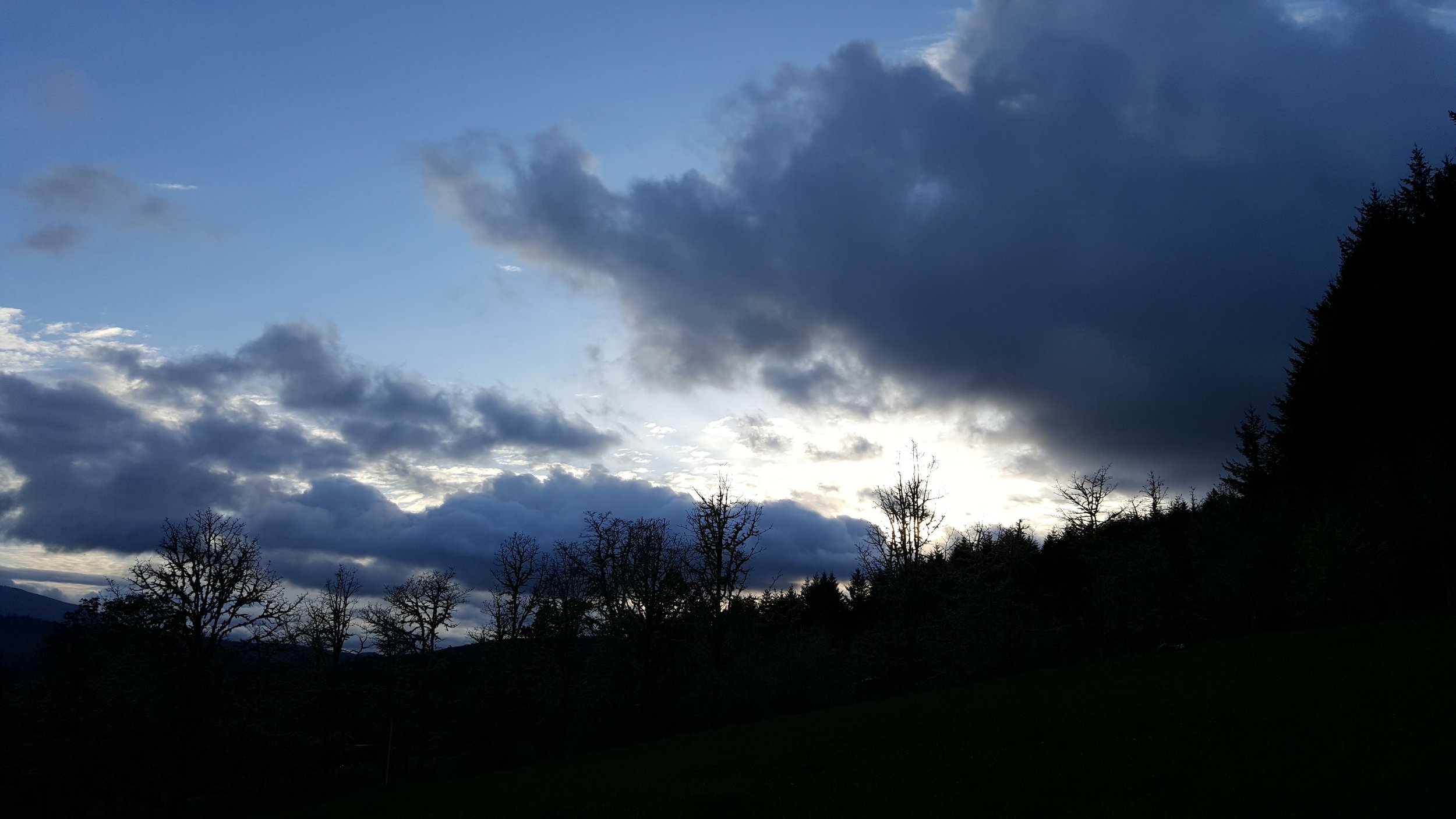 Mesmerized by these puffy clouds