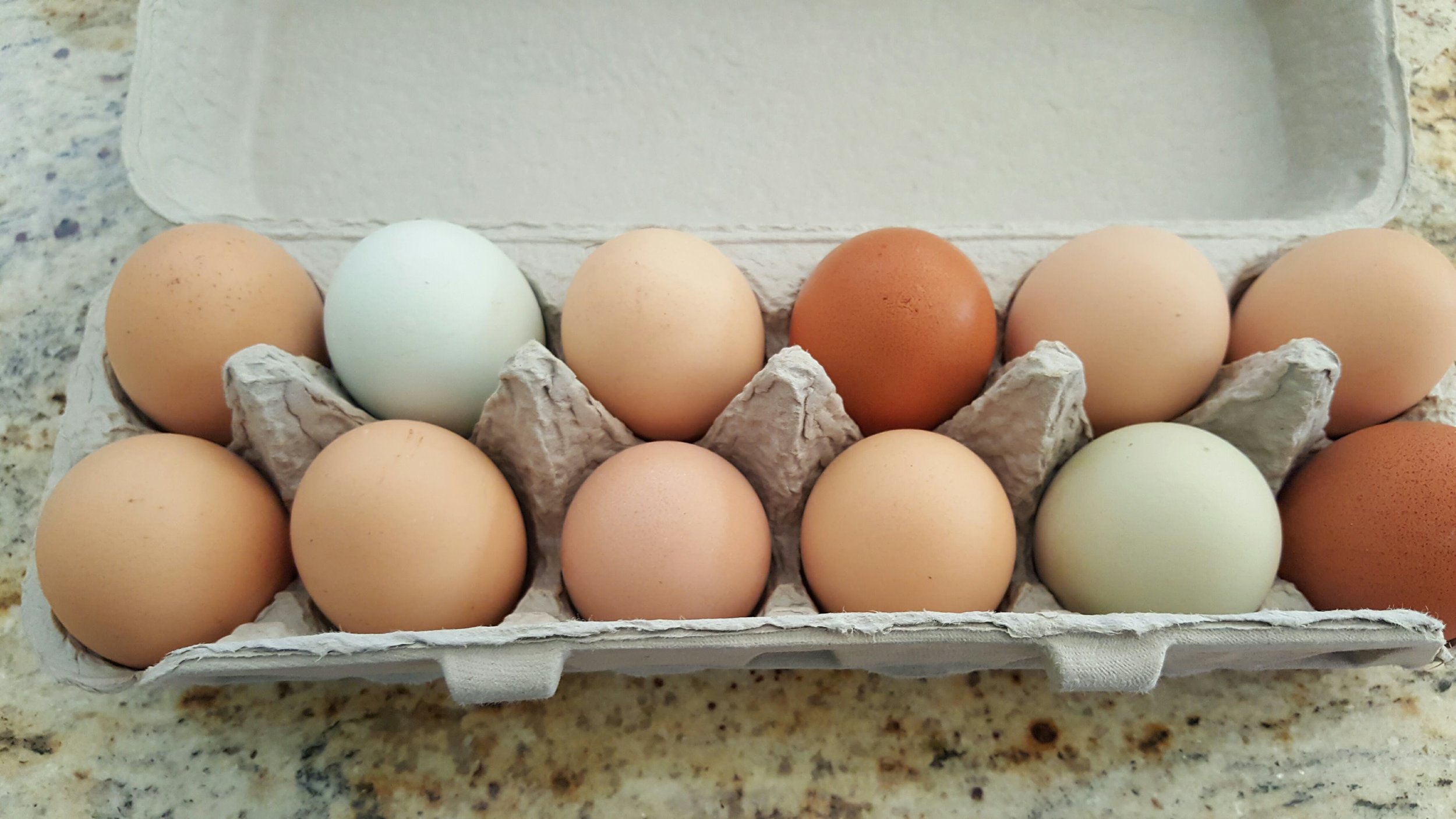 Stopping by the farmers market to buy some eggs from happy chickens.. I love the colors!