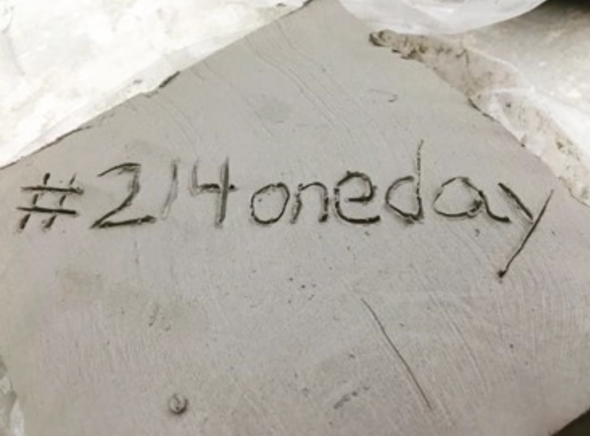 #214OneDay: One day of learning in District 214