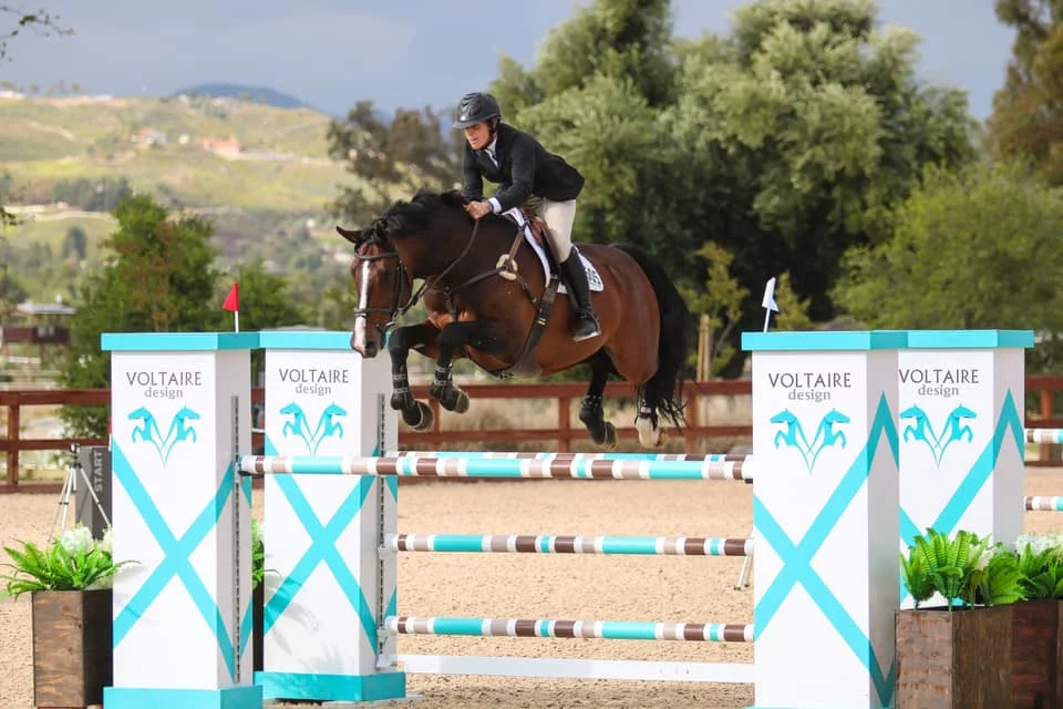 Crespo over fences.jpg