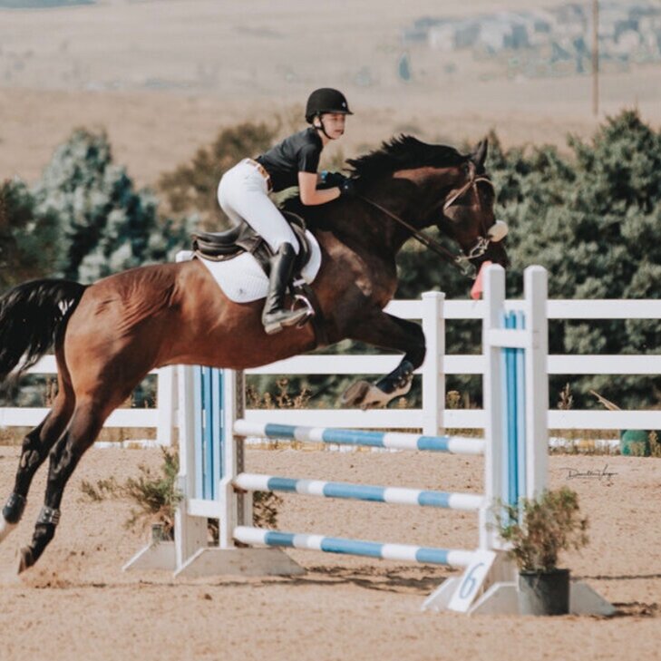 English Rid8ng English Riding Lessons β White Harvest Farms