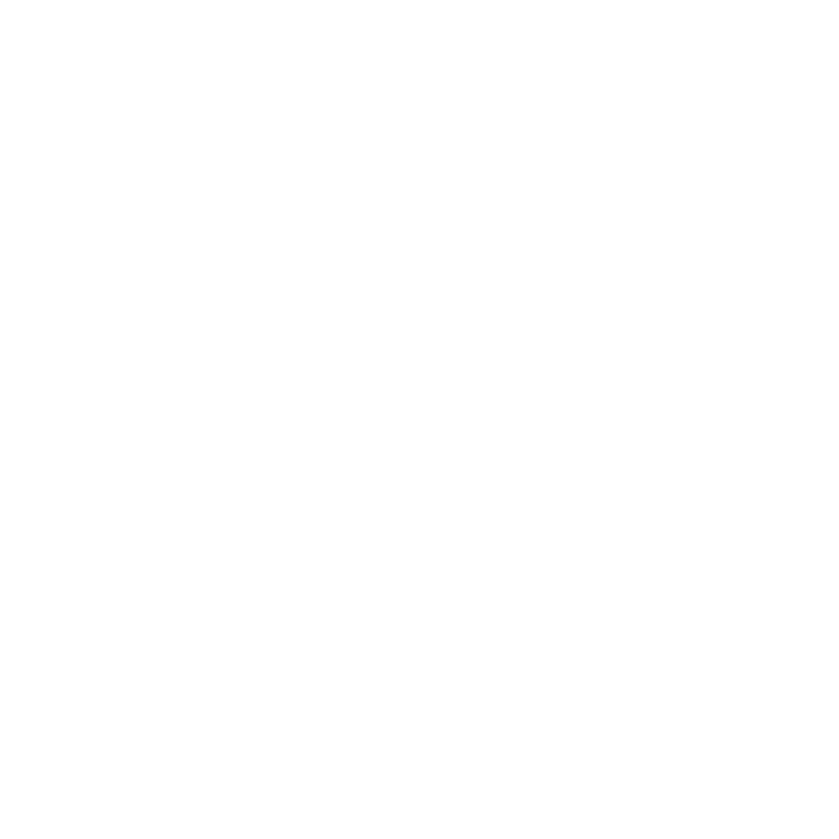 ICON 1.png