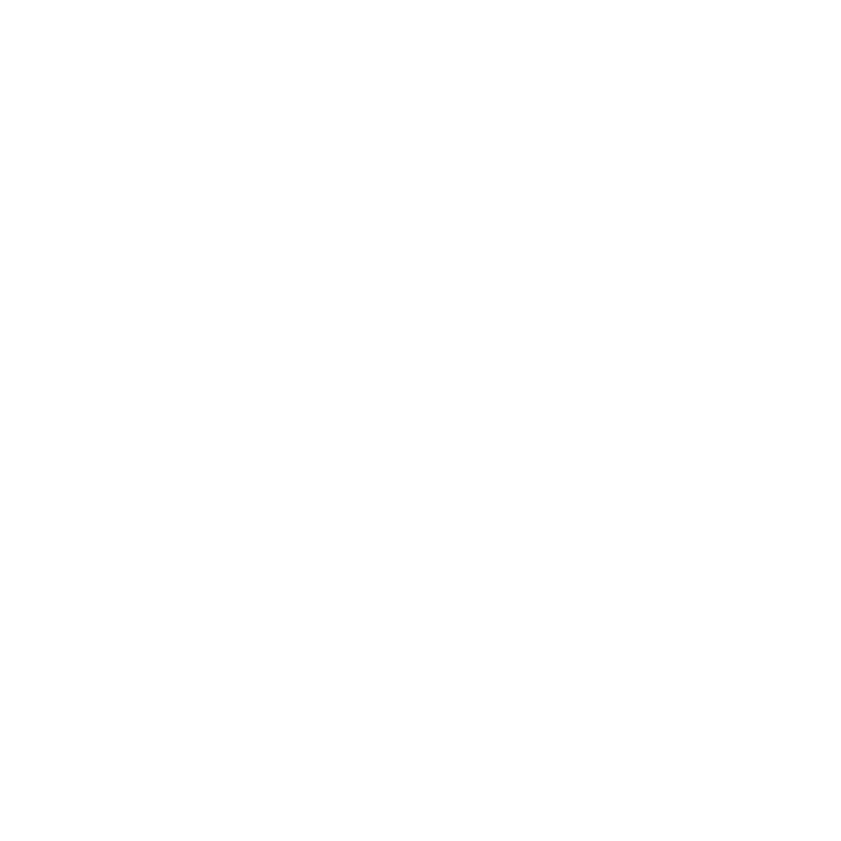 ICON 2.png