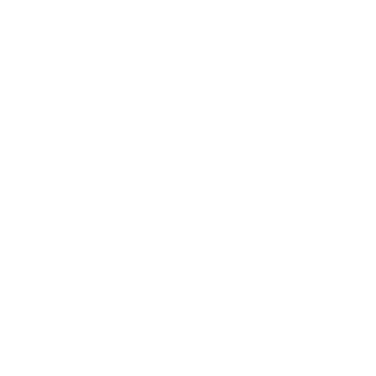 ICON 4.png