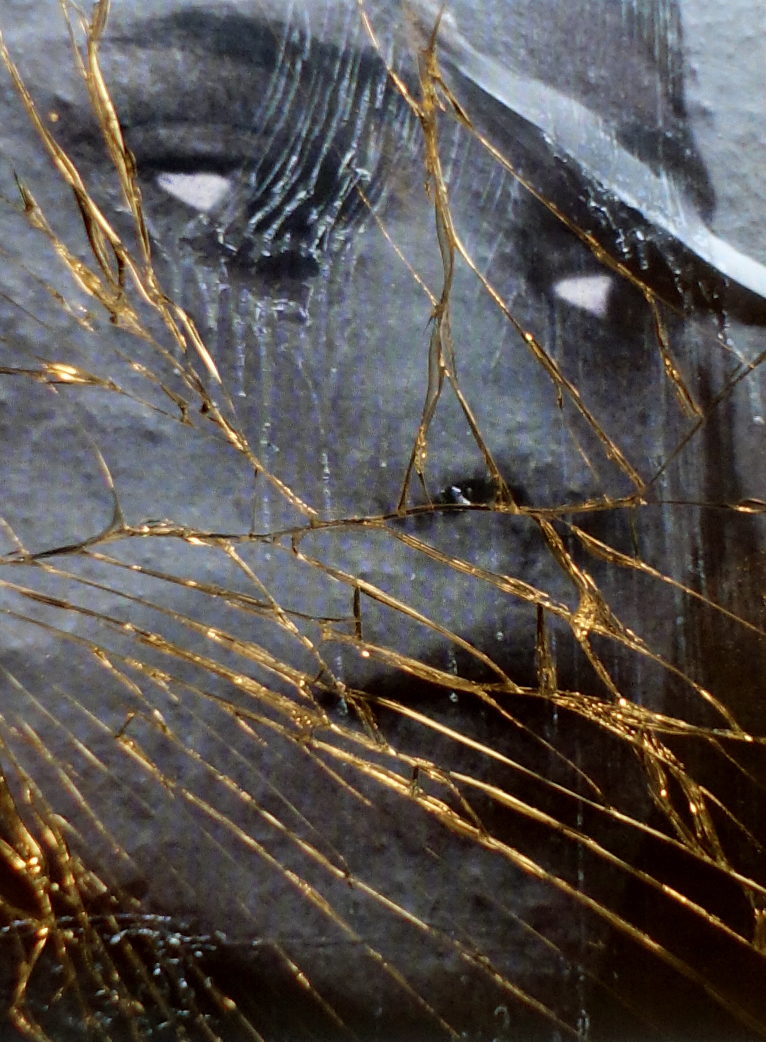 Cracked Screen DSC08616.jpg