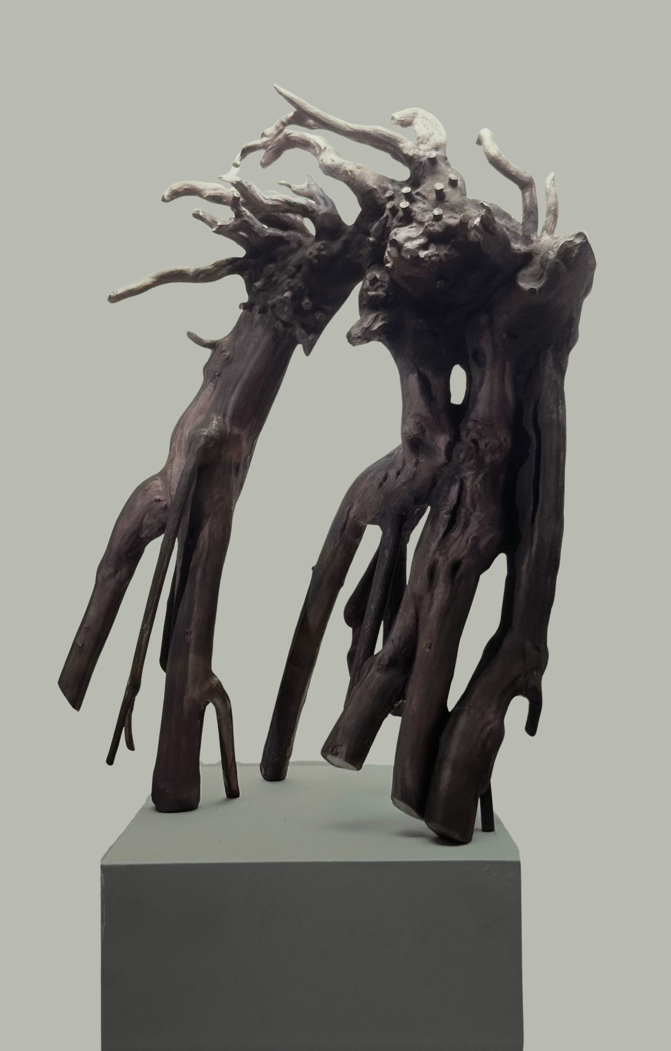 Medusa 28x19x8 - Edited.png