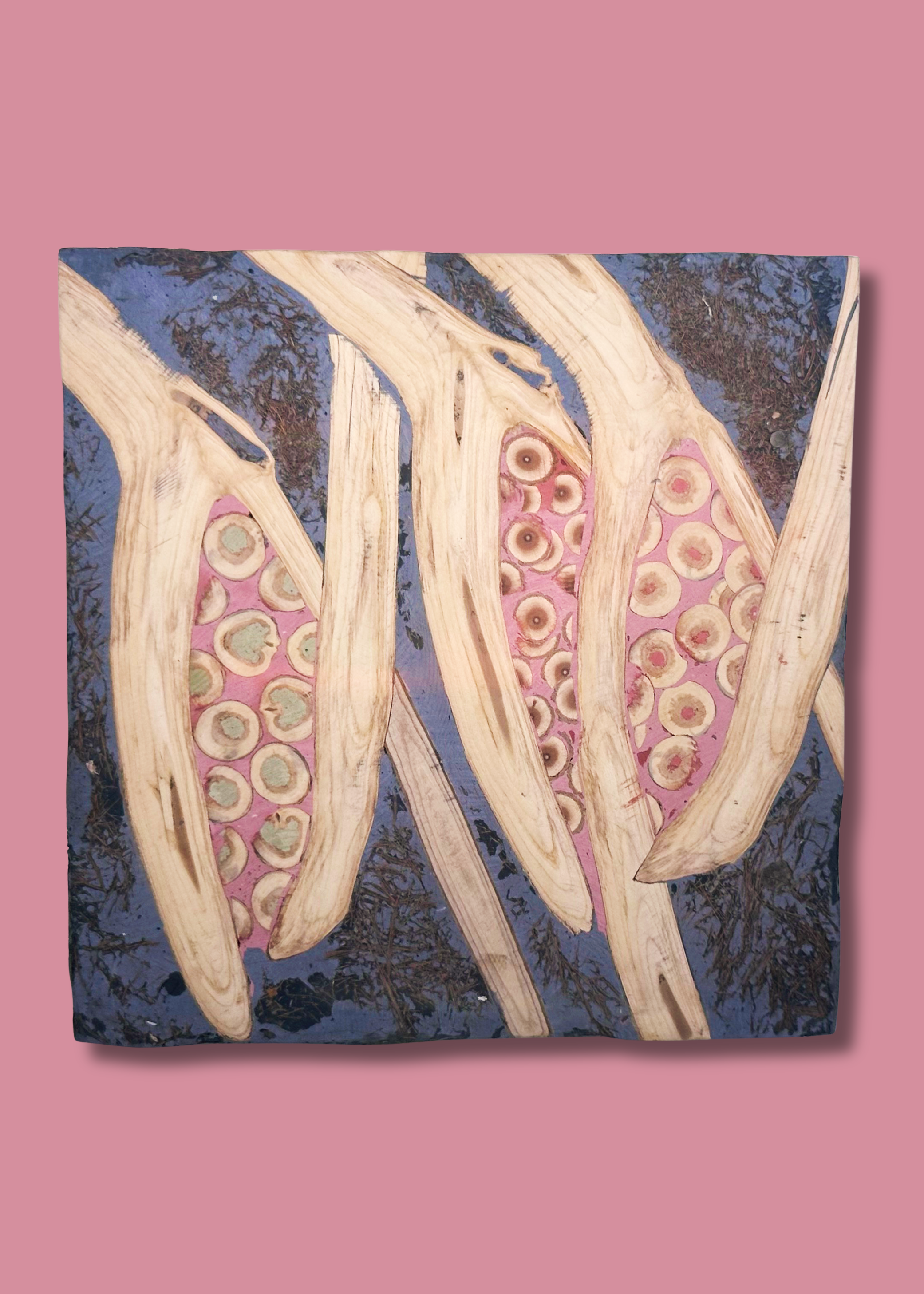 IMG_8995 - Edited.png