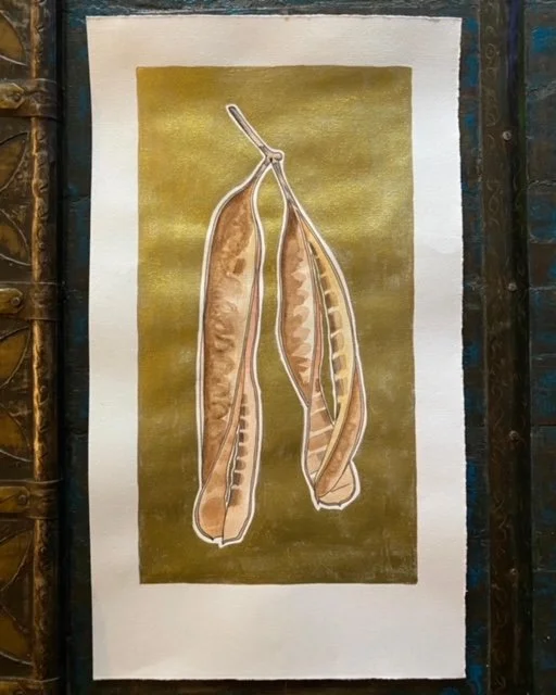 Seed pods