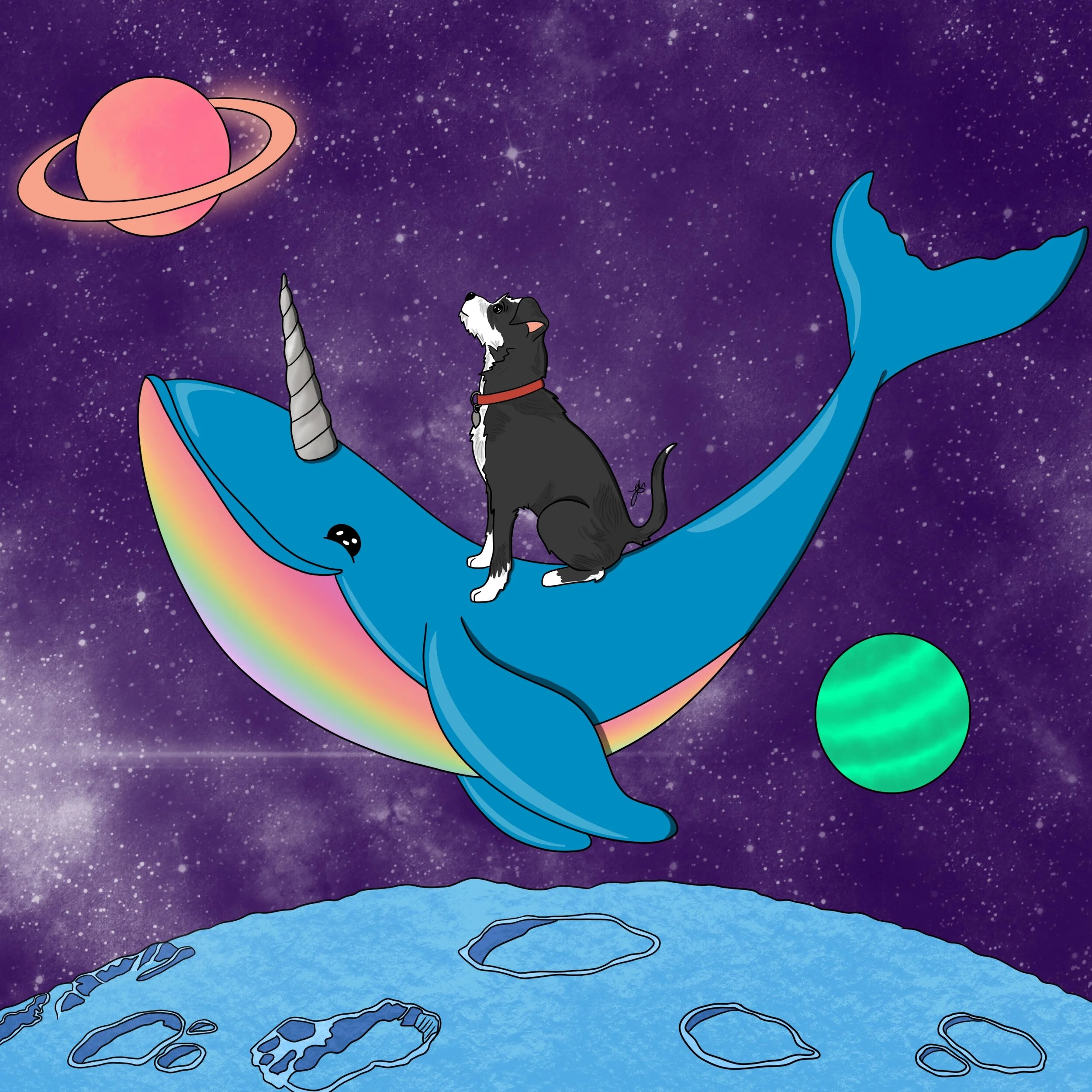 09_Dream_Pet_V2.jpg