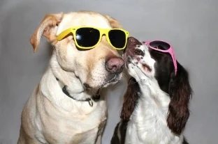 Cool Dude534805931.jpg