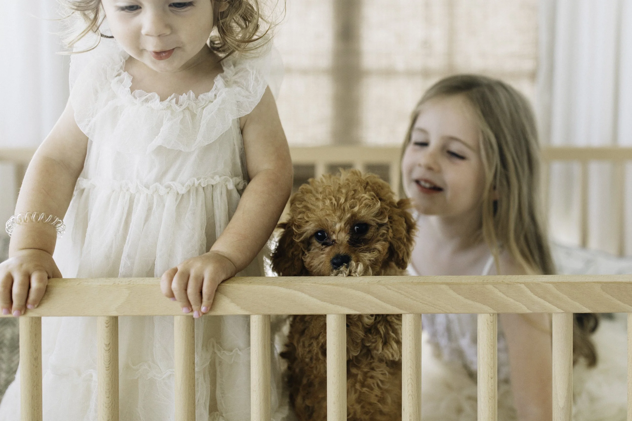 P22A7994-Edit.jpg