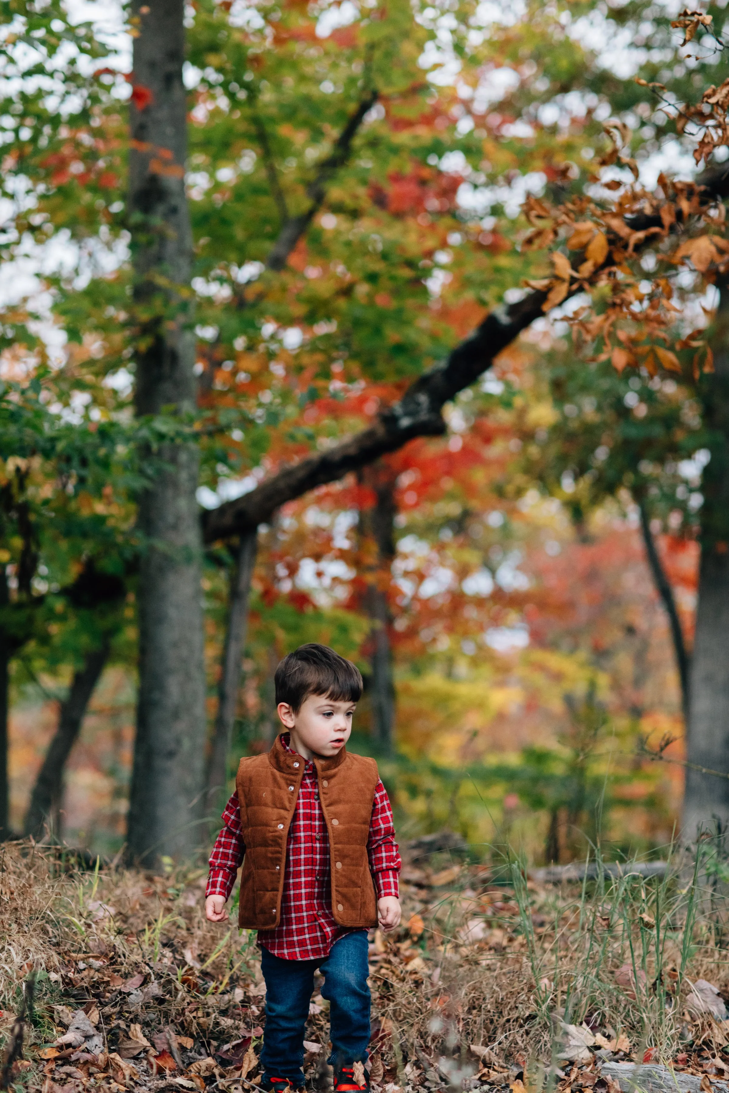untitled-0281.jpg