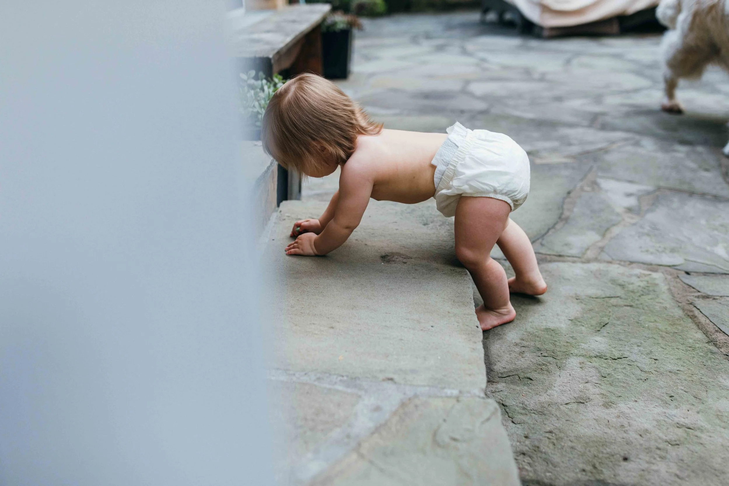 0S3A9396.jpg