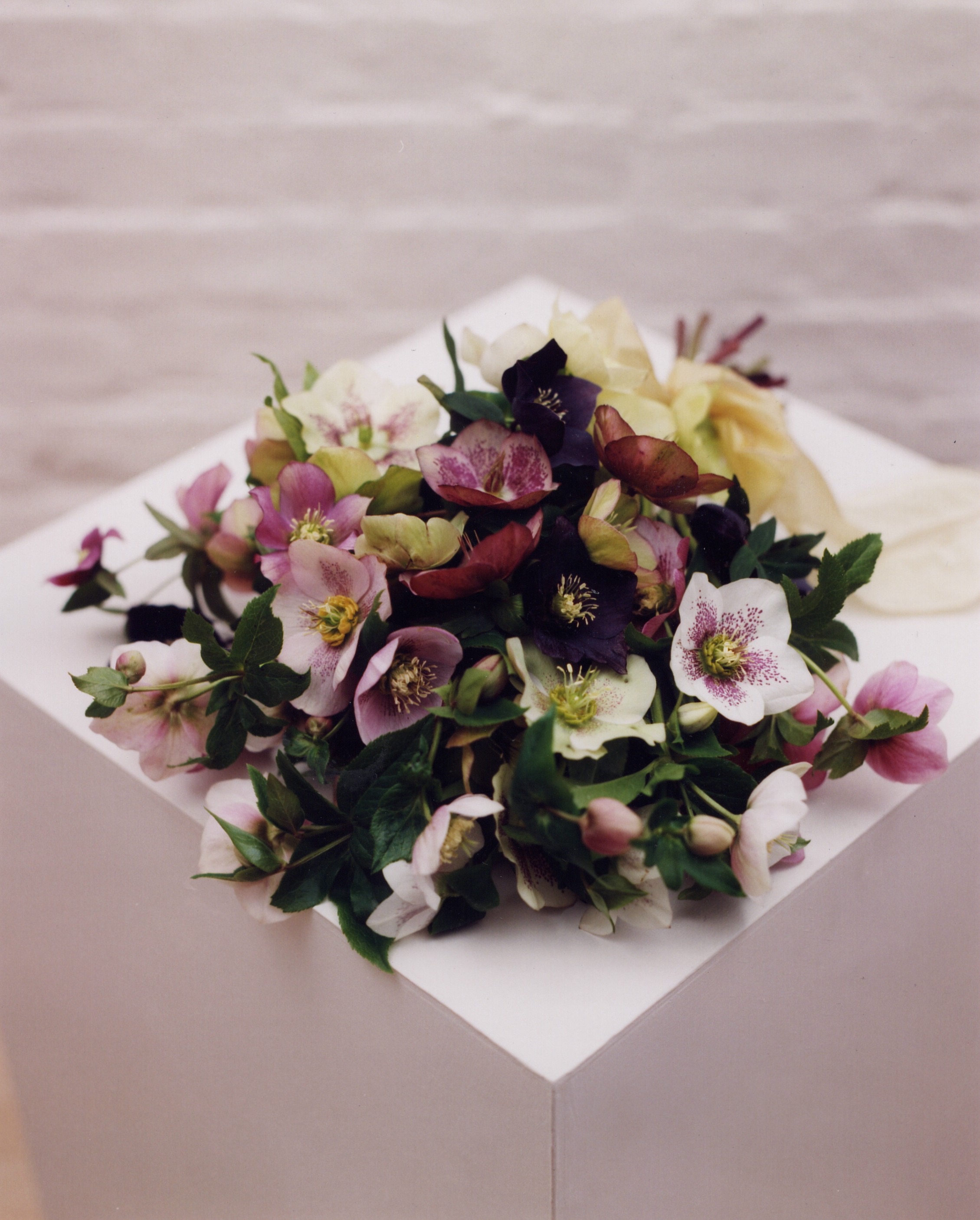 Hellebore bouquet.jpg