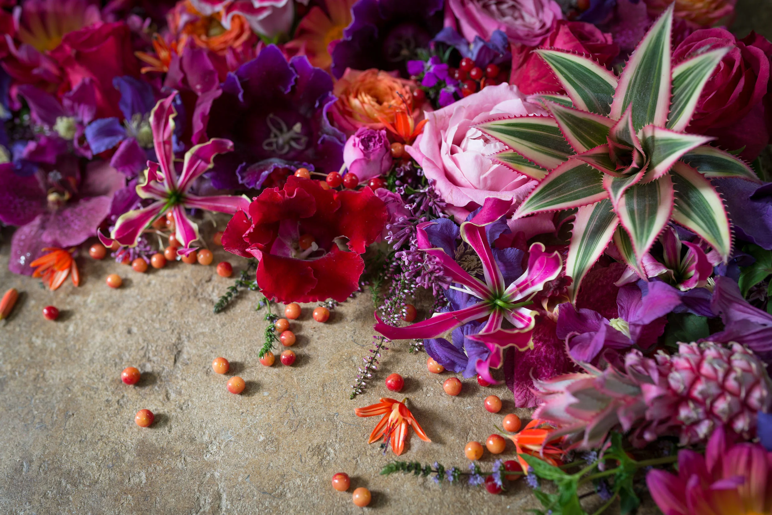 DSC_2179_Flower_Heads.jpg