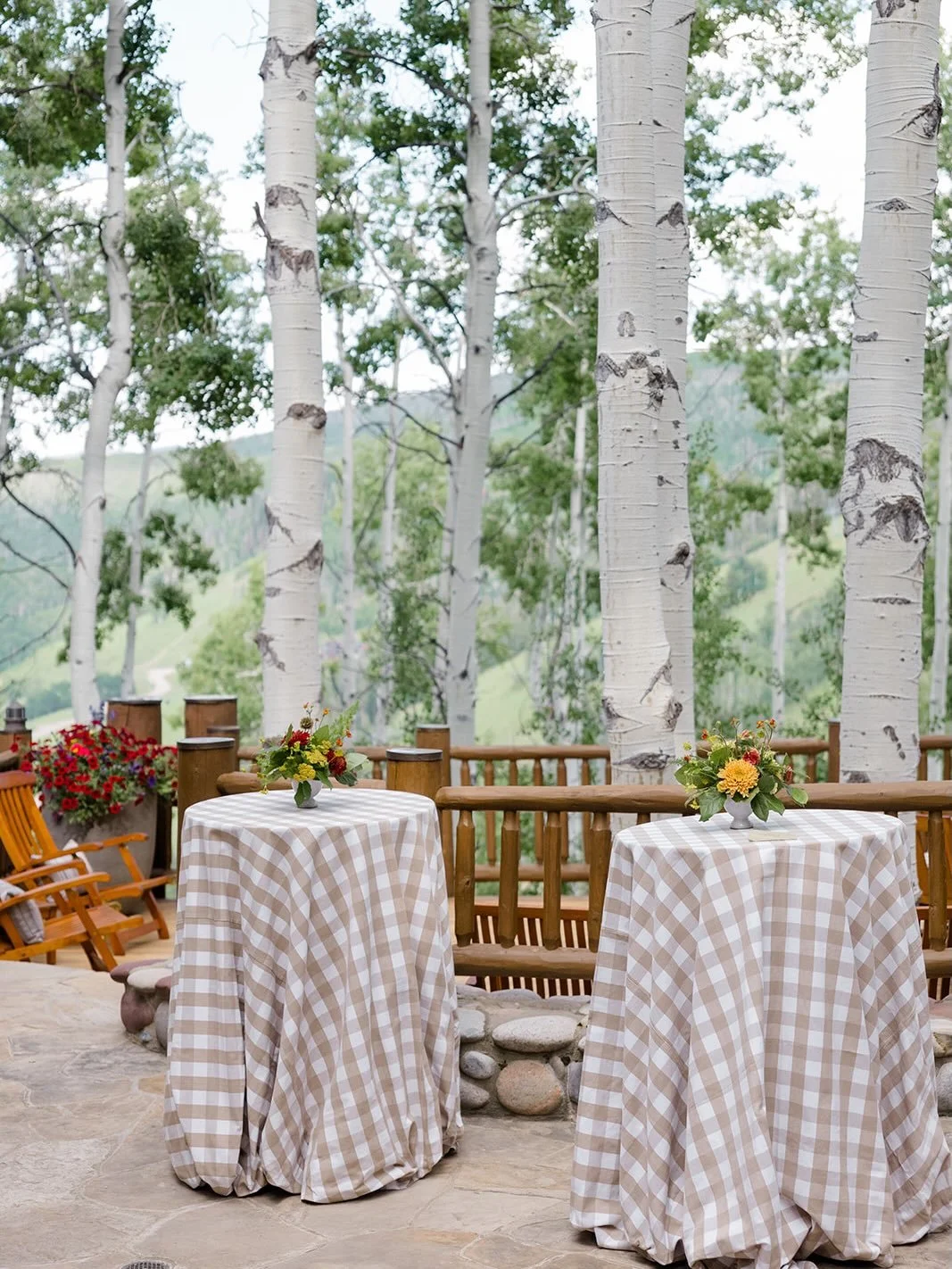 Cocktails and canap&eacute;s amongst the aspens 🏔️

Planning: Kelly for Kelly Doonan Events 
Photography: @graciebyrdjones 
Rentals: @enjouestudioevents 
Catering: @redmaplecatering 
Florals: @doubledutchfloral 
Linens: @bbjlatavola 
Paper Goods and