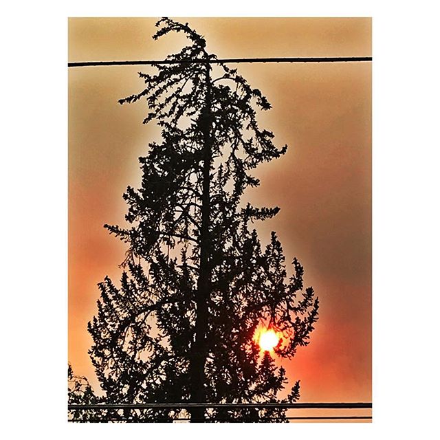 Sunset in Southern Oregon last night 🔥 😢. But today and this evening seem much better.  Thank you to all the firefighters all over California and Oregon!
.
.
.
#thankyoufirefighters #californiafires #oregonfires #firesunset #fireinthesky