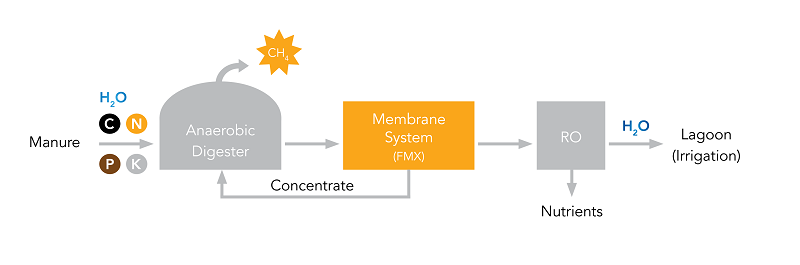 digestate process.png