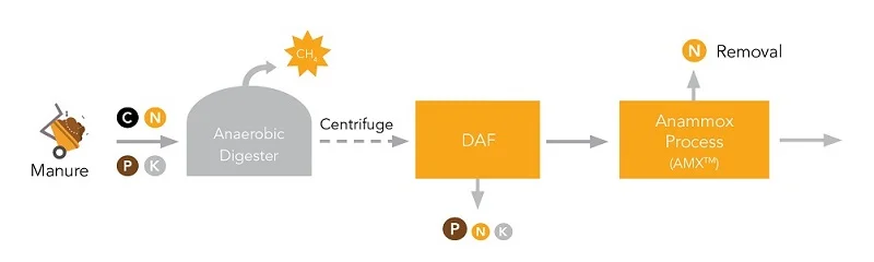 digestate option2.jpg