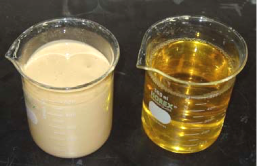 Beer recovery from yeast: Feed (left), filtrate (right)