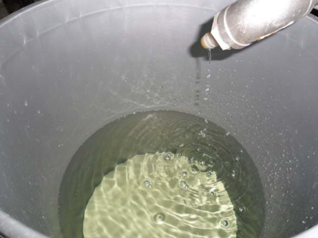Digestate: Filtrate (a) and Feed (b)