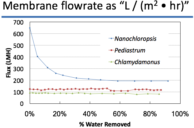 Microalgae Graph.png