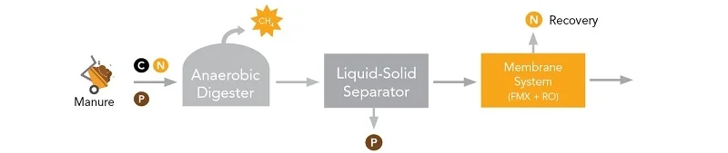 digestate option1.jpg