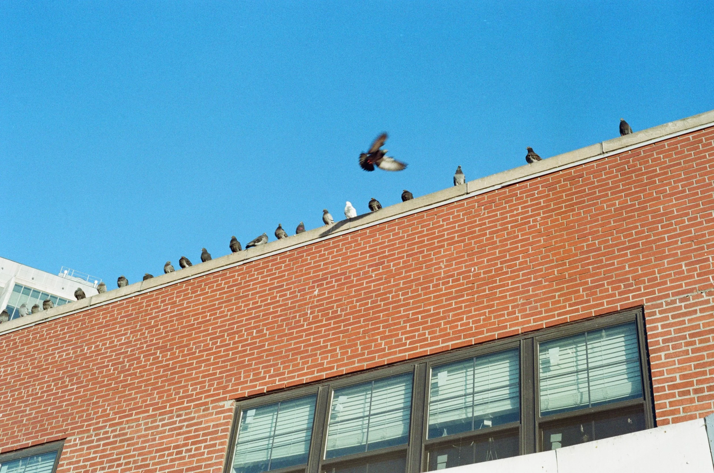 Color Photography 叢