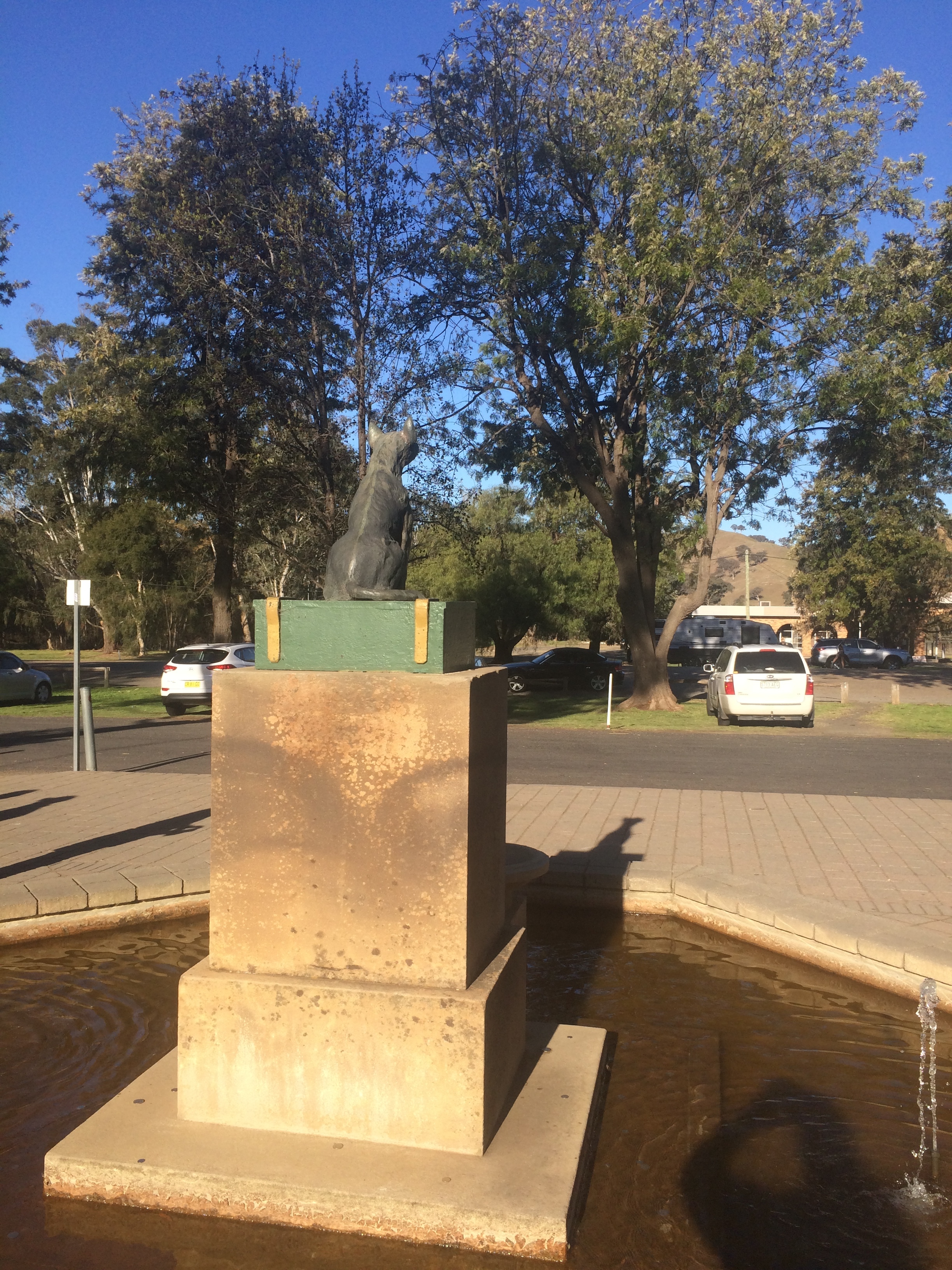 AECE097D-0775-41A4-BBCA-623CFCFF58FF.jpeg