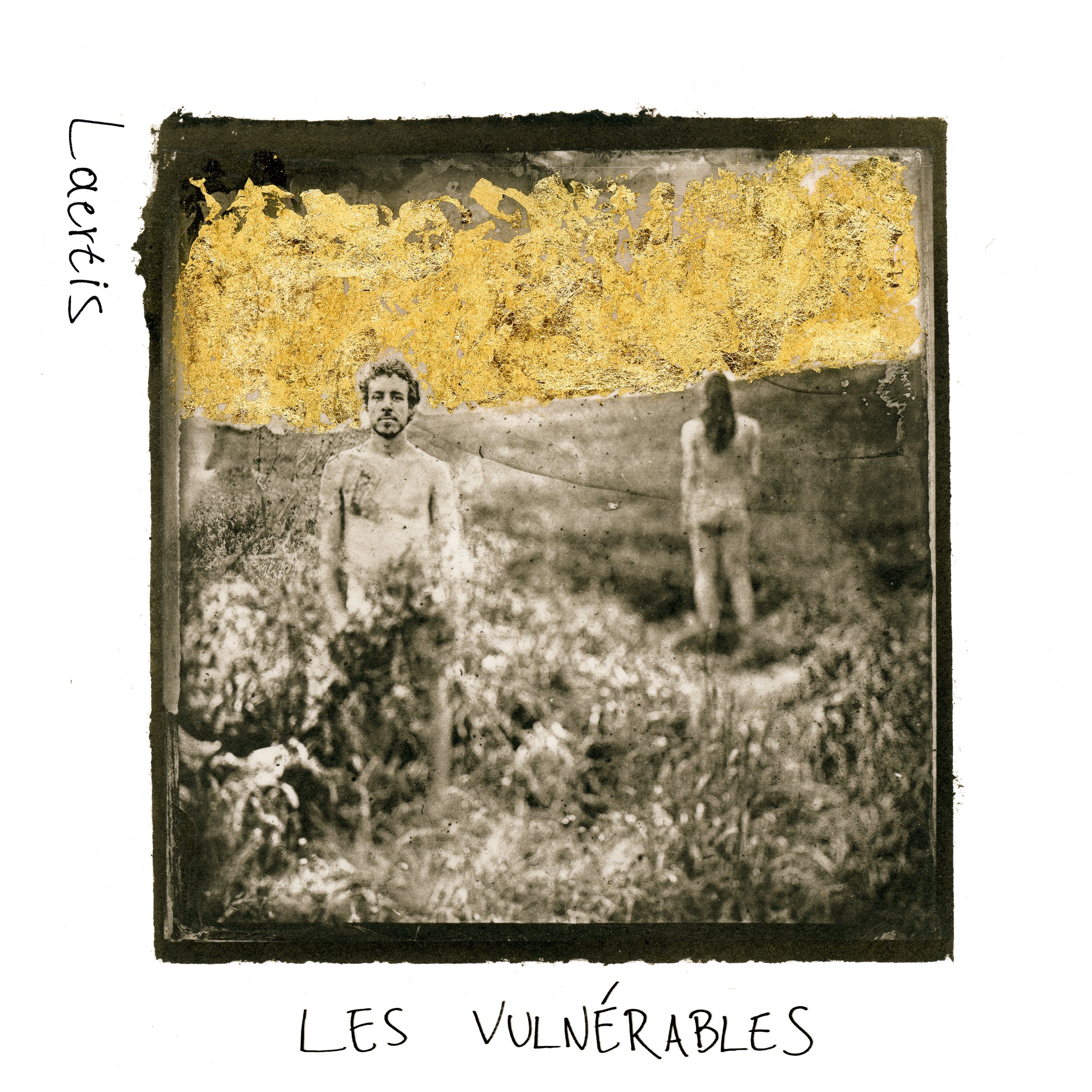 Cover of Laertis ' Les Vulnerables' by Magda Kuca.jpg
