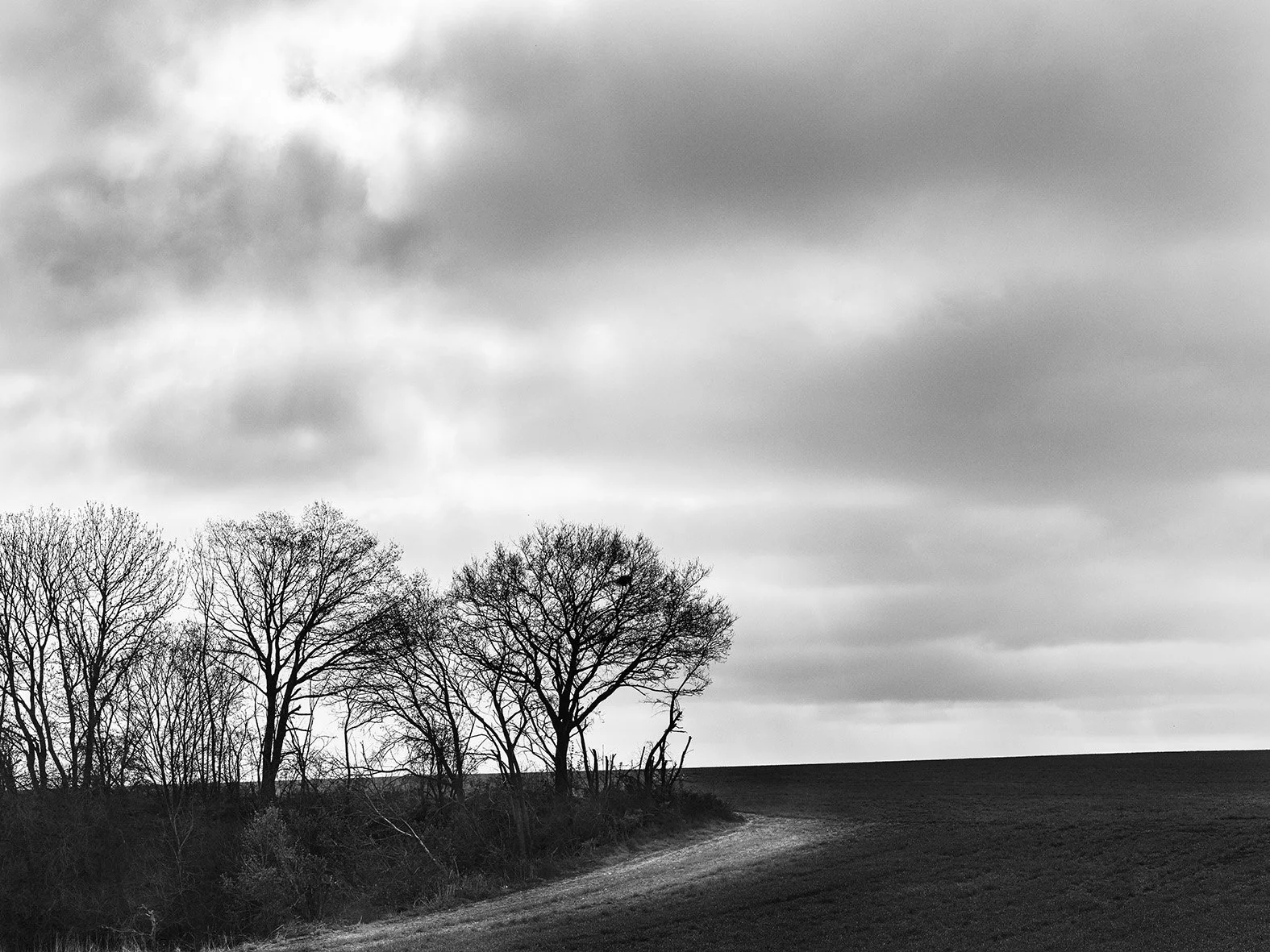 Résidence CRP/Diaphane