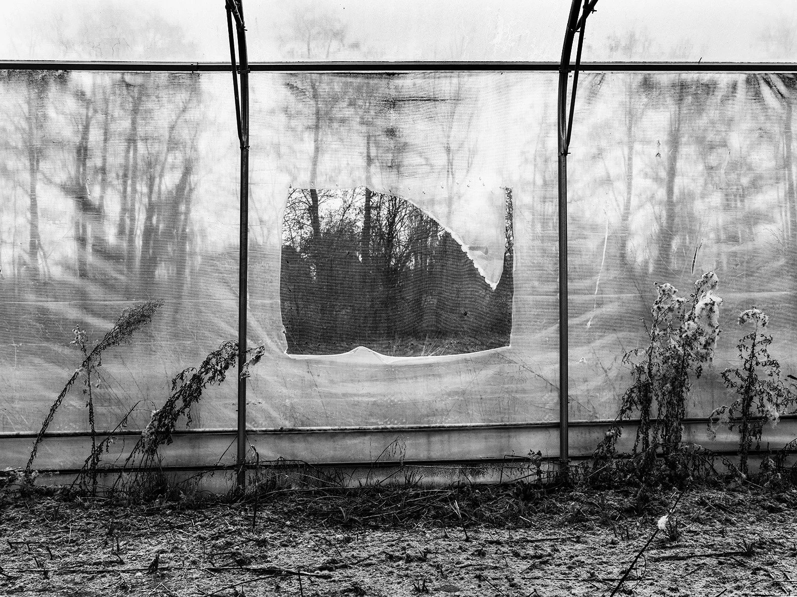 _DSF1616 Bache déchirée.jpg