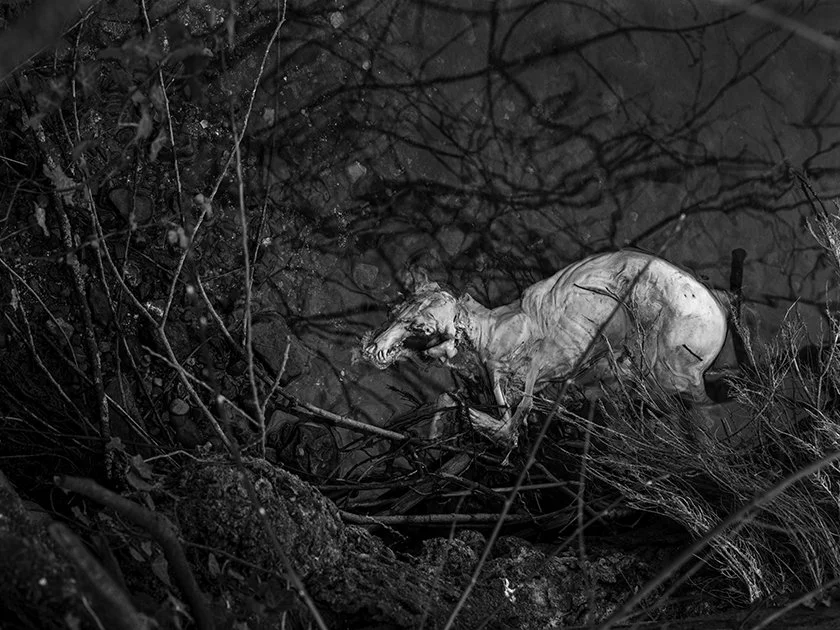 Canal Nord-Seine Europe20250328_0007.jpg