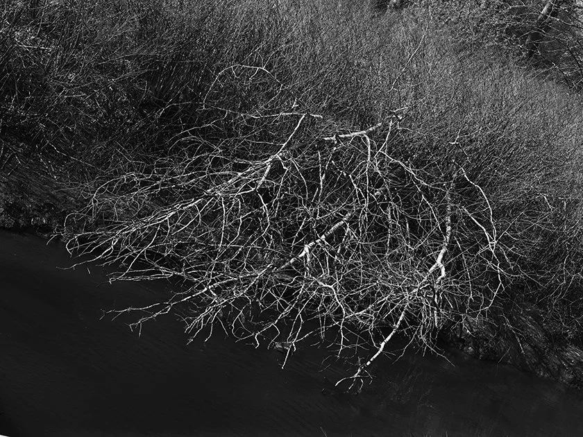 Canal Nord-Seine Europe20250403_0011.jpg