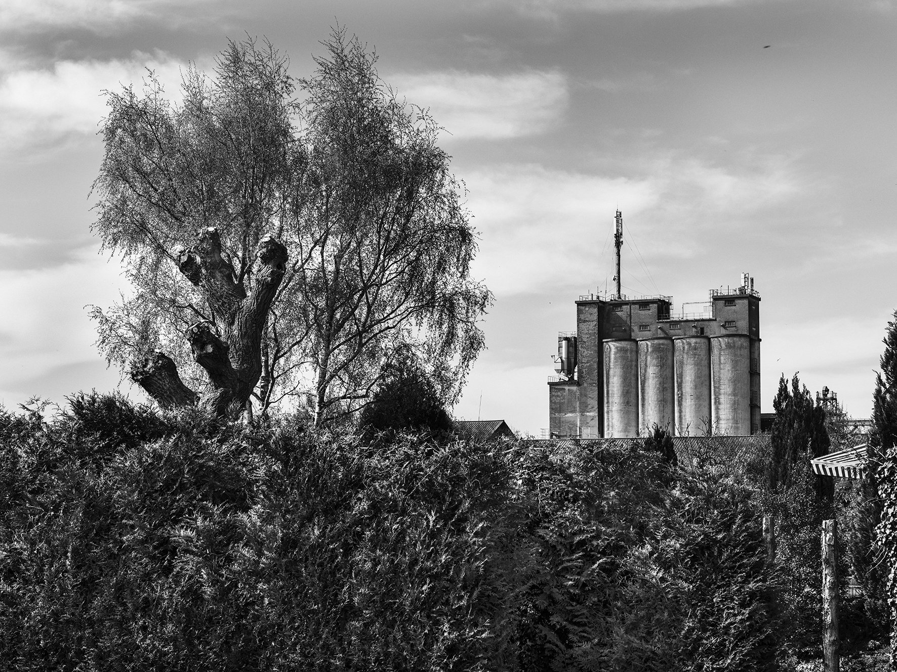 _DSF2509-silos.jpg