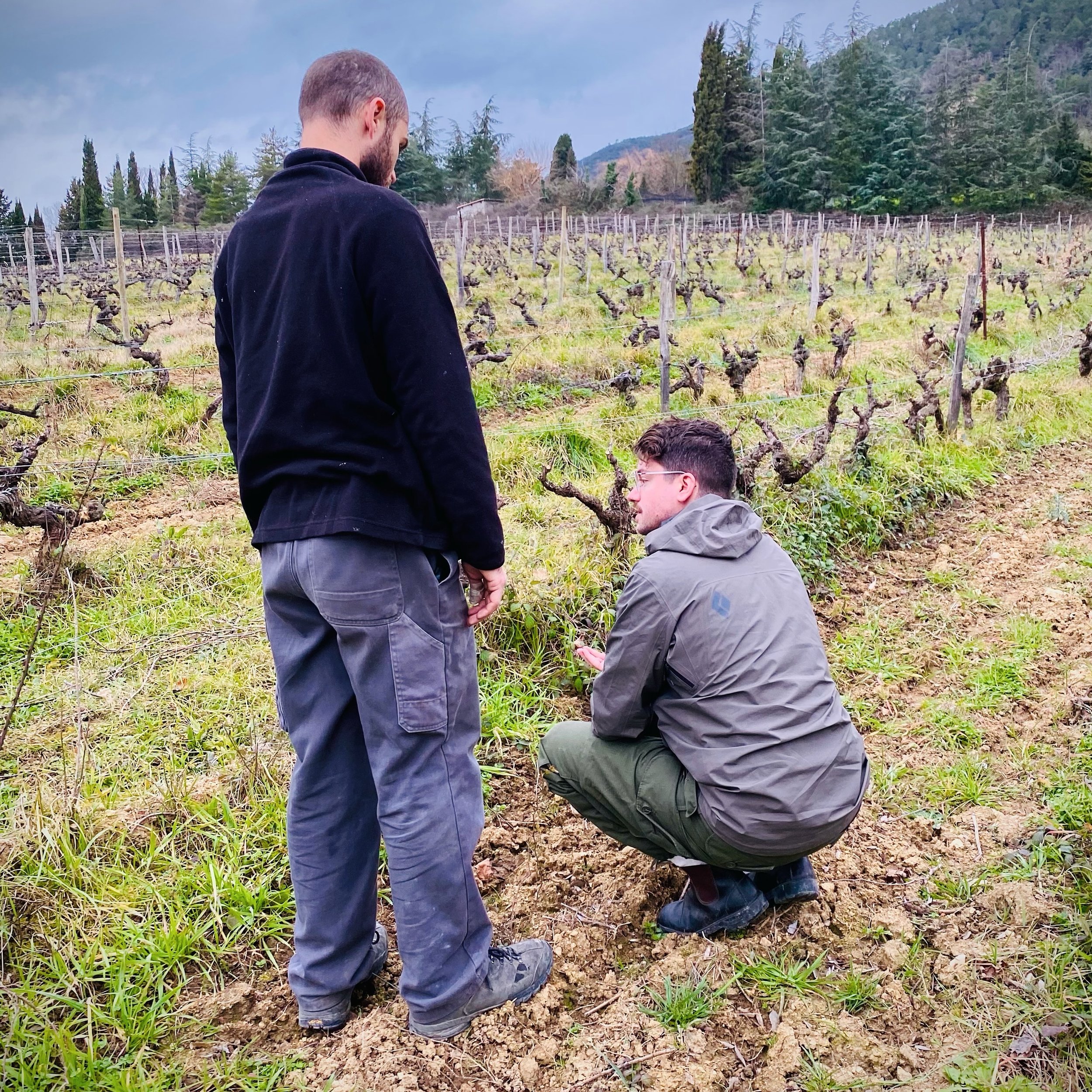 I think the most important thing you can do as a wine professional is to get out into the vineyard. Our job is not only to please customers, but to accurately convey the beauty and uniqueness of the vineyards our partners have dedicated their lives t