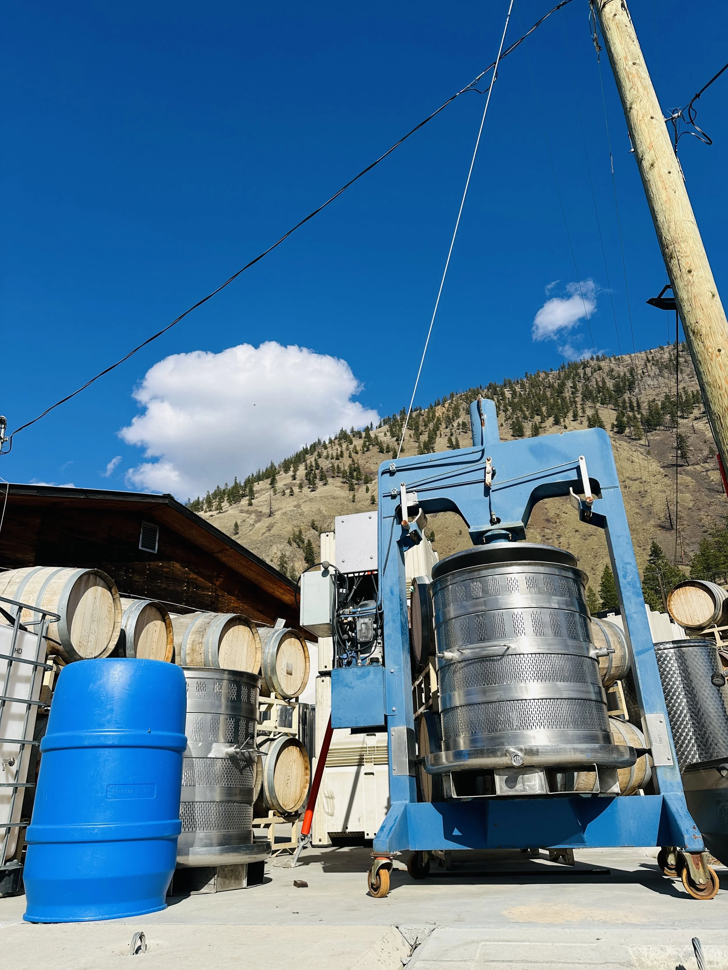 SCOUT VINEYARD BASKET PRESS.jpg