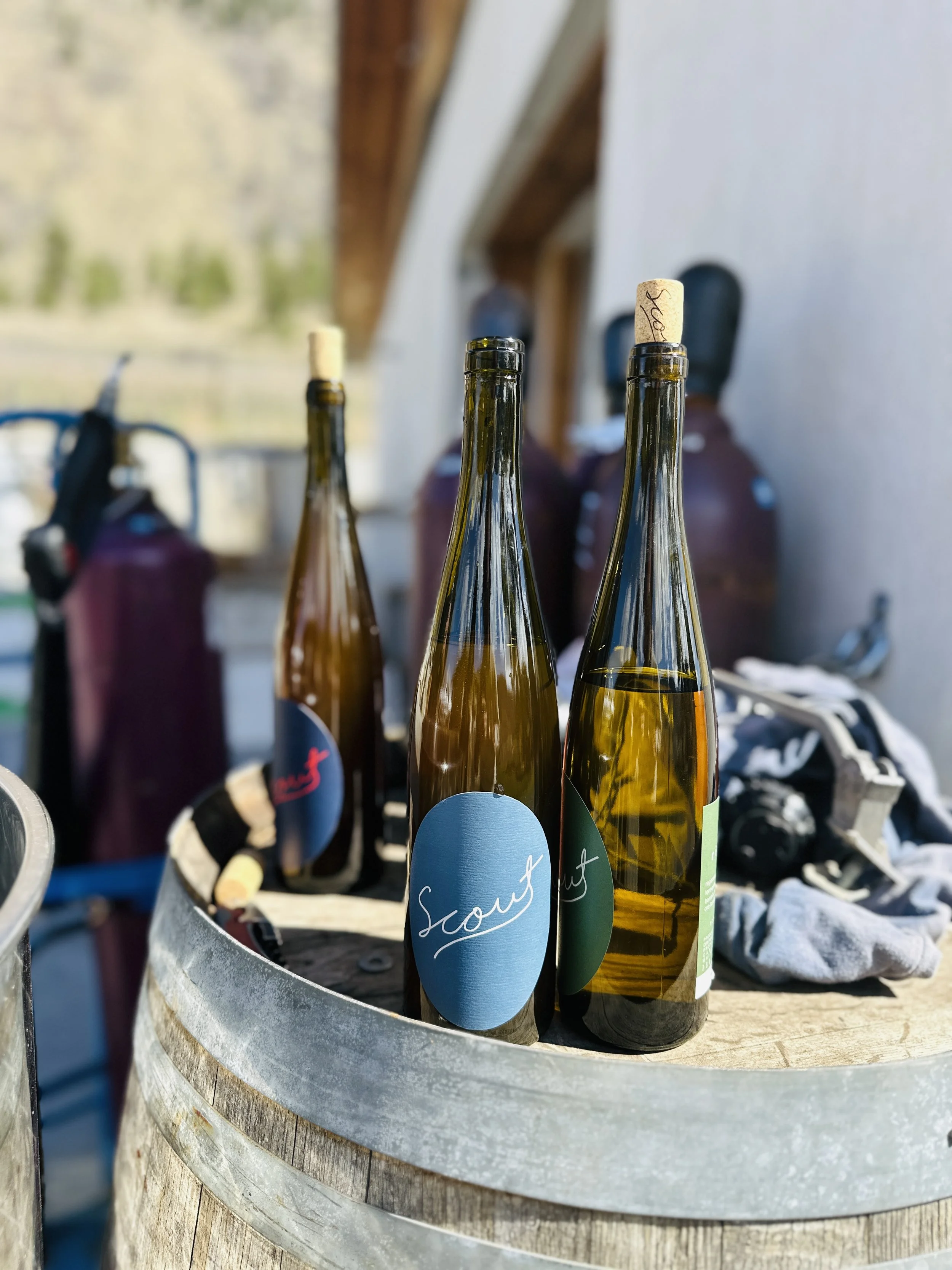 SCOUT VINEYARD BOTTLES ON BARREL.jpg