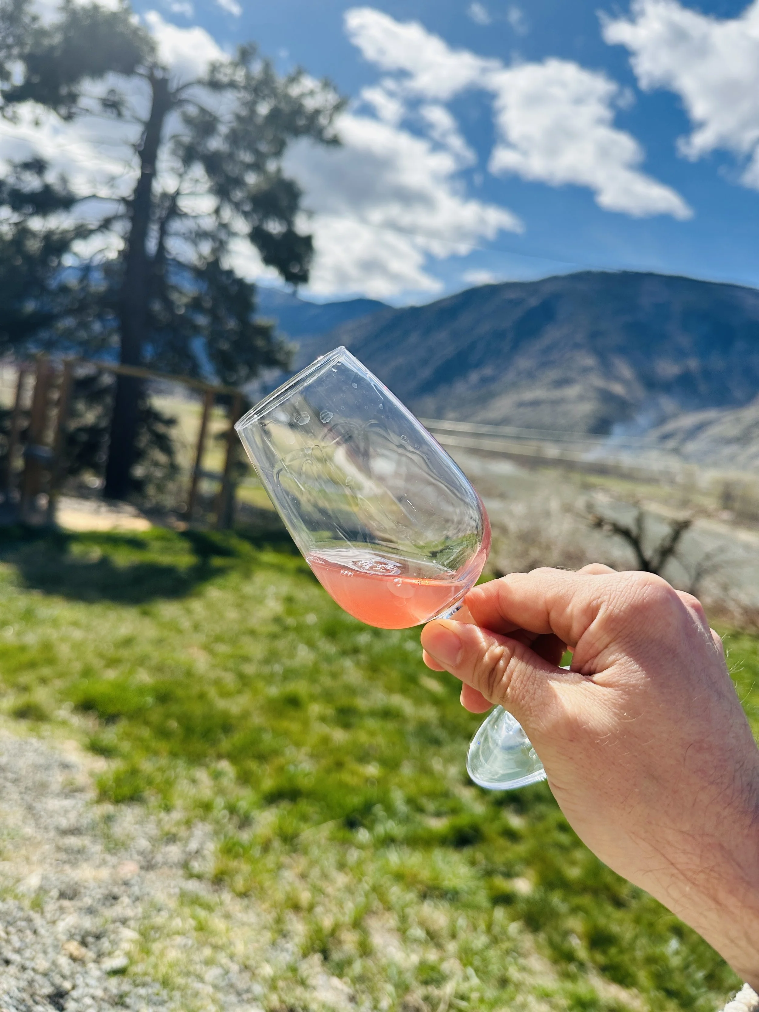 SCOUT VINEYARD TASTING SKIN CONTACT WINE.jpg