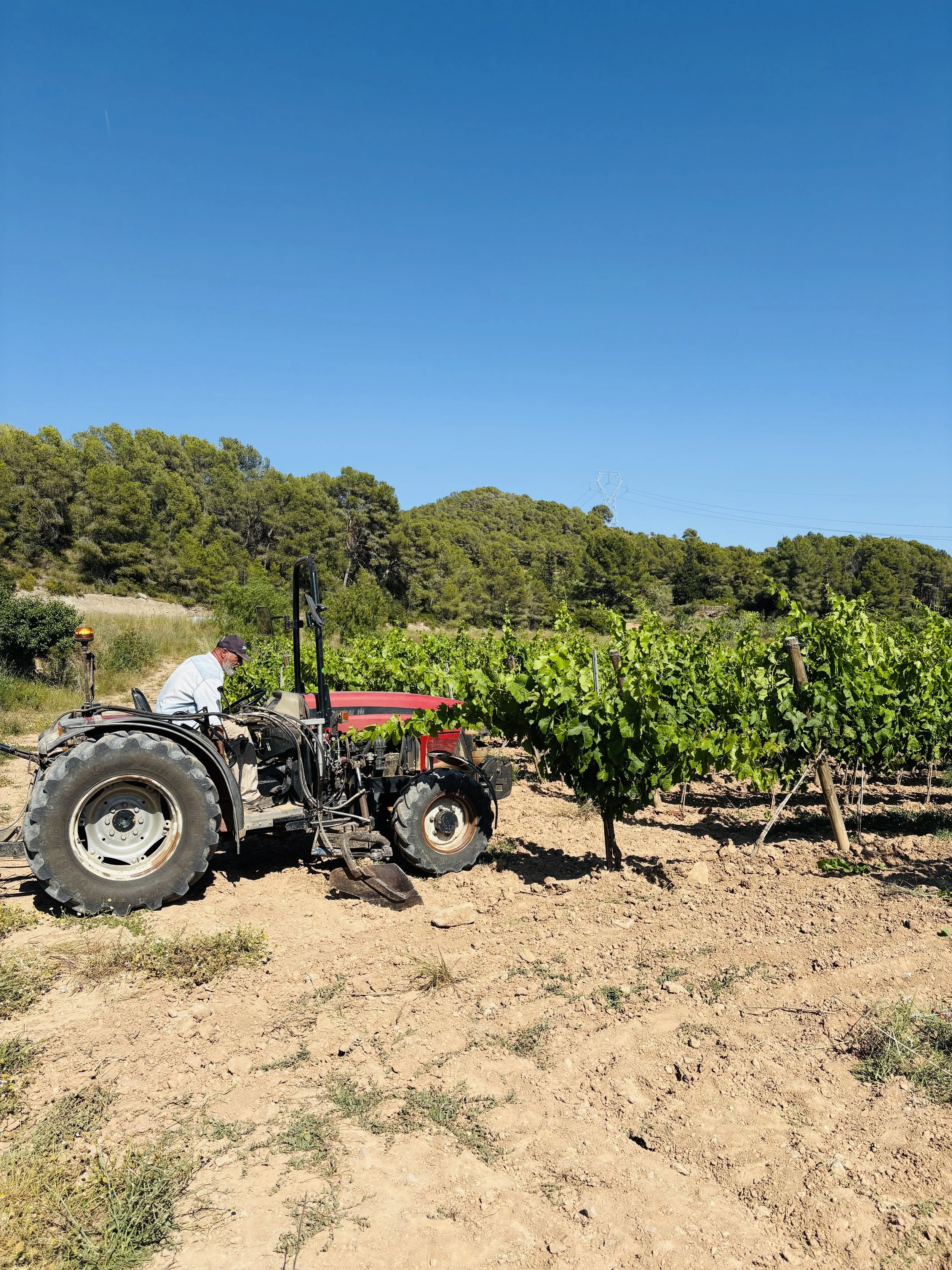 PARTIDA CREUS TRACTOR IN VINEYARD.jpg