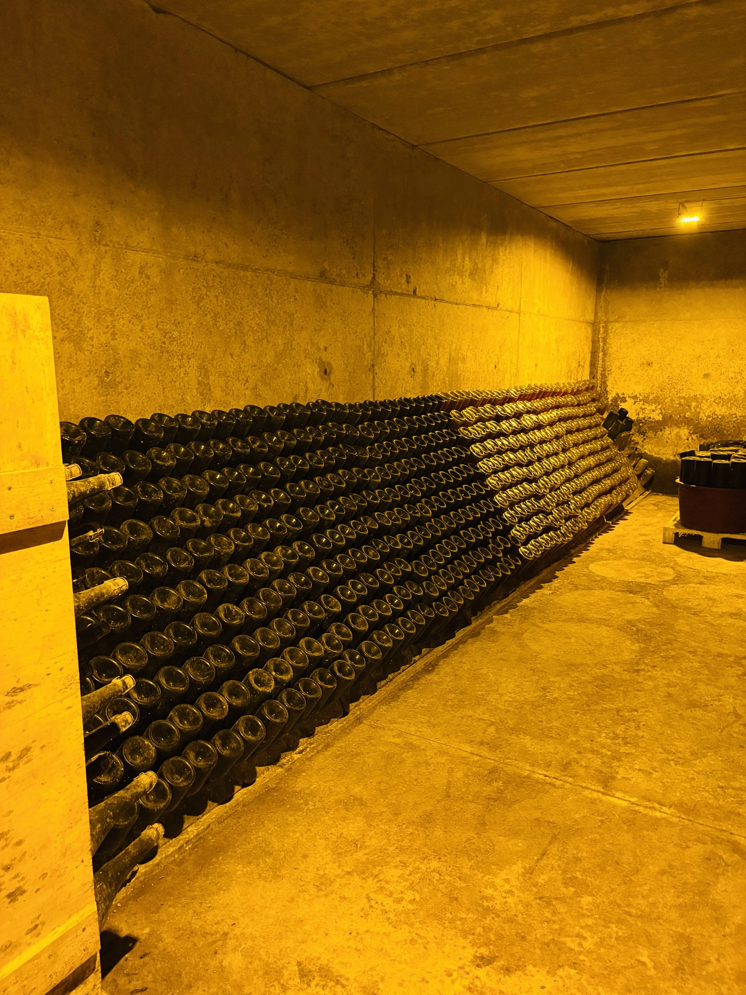 PARTIDA CREUS RIDDLING RACK.jpg