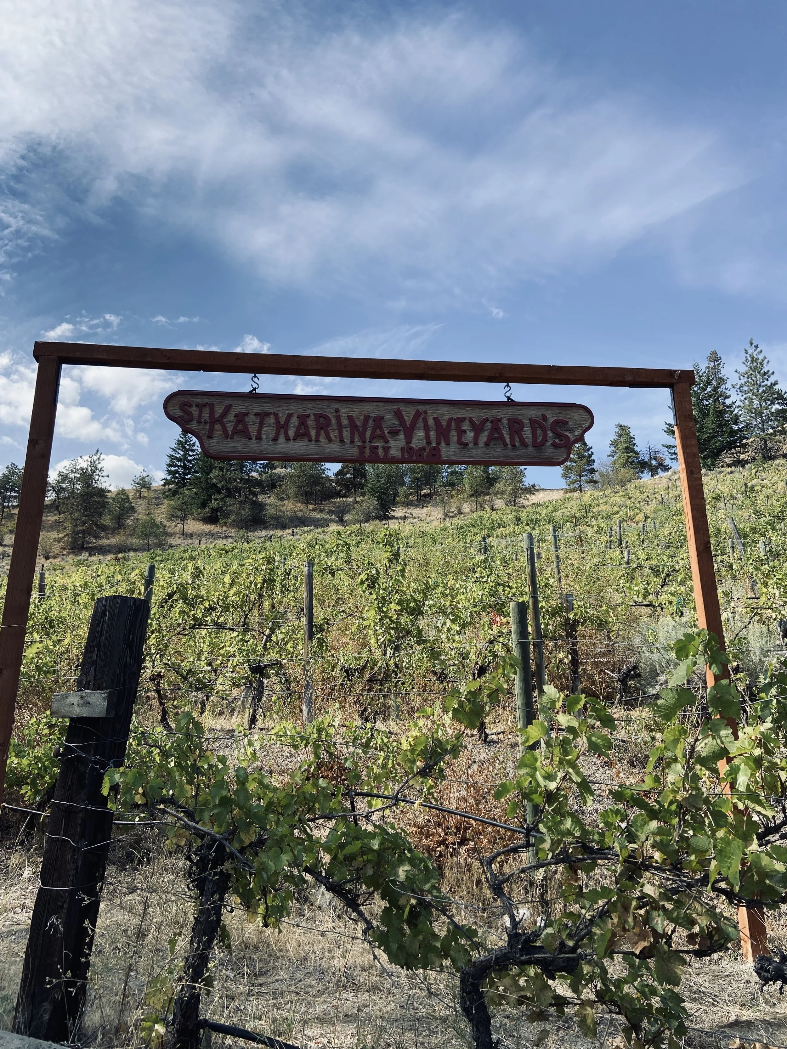 LIGHTNING ROCK ST KATHARINA VINEYARD SIGN.jpg